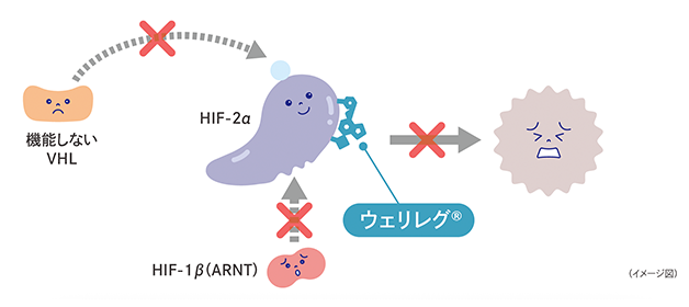 ウェリレグ®について
